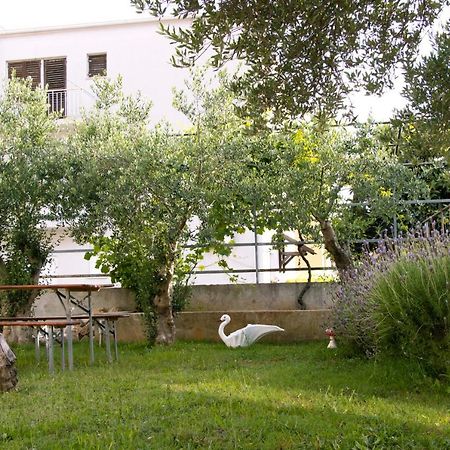 Pepi Apartments 1 زادار المظهر الخارجي الصورة