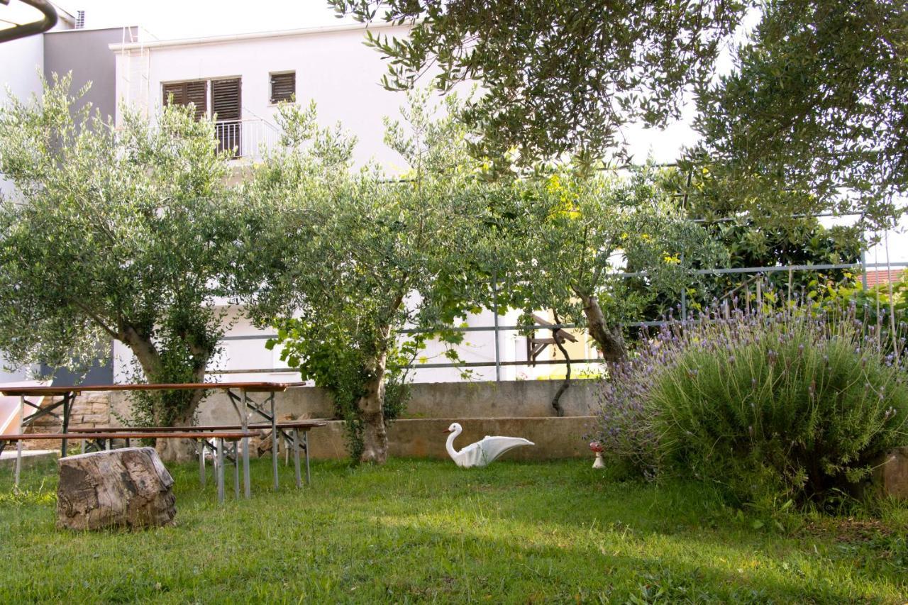 Pepi Apartments 1 زادار المظهر الخارجي الصورة
